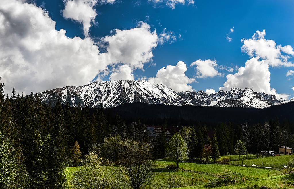 Bed and Breakfast Zwijaczowka Закопане Экстерьер фото